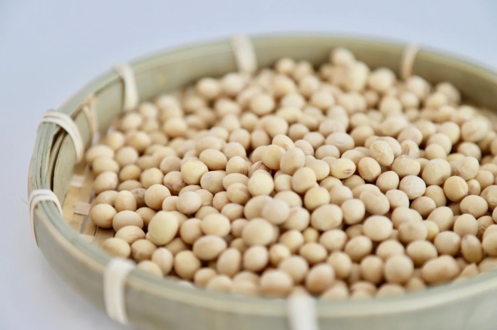 shironishiki-soy
